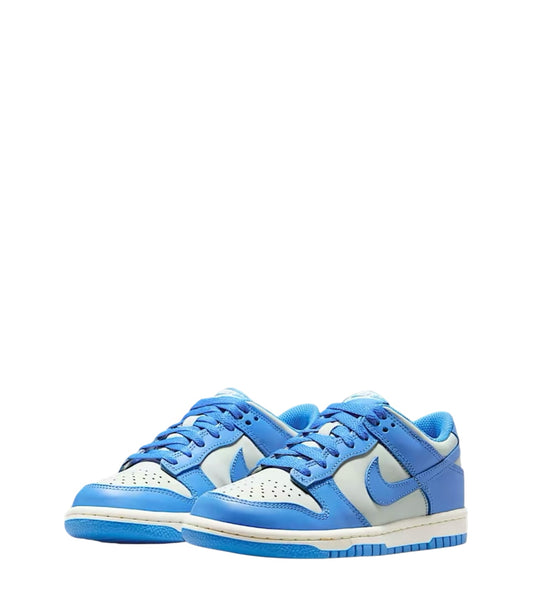 Nike Dunk Lows (Baby Blue & Silver)